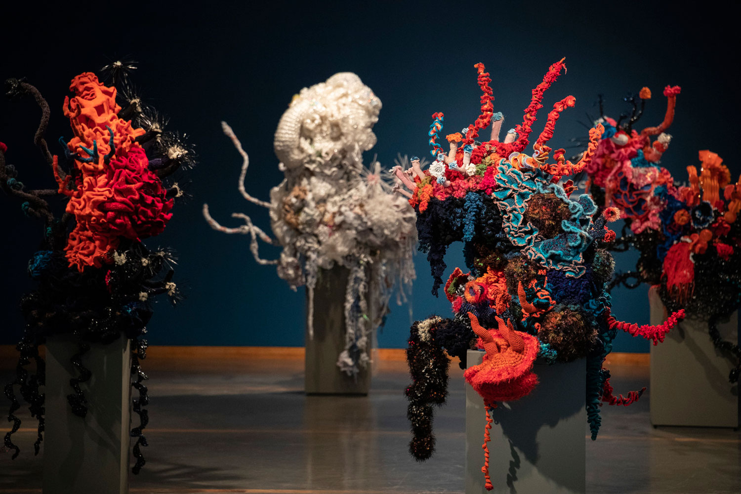 Creacion Hibrida CROCHET CORAL REEF PROYECTO DE MARGARET Y CHRISTINE Creacion Hibrida CROCHET CORAL REEF PROYECTO DE MARGARET Y CHRISTINE